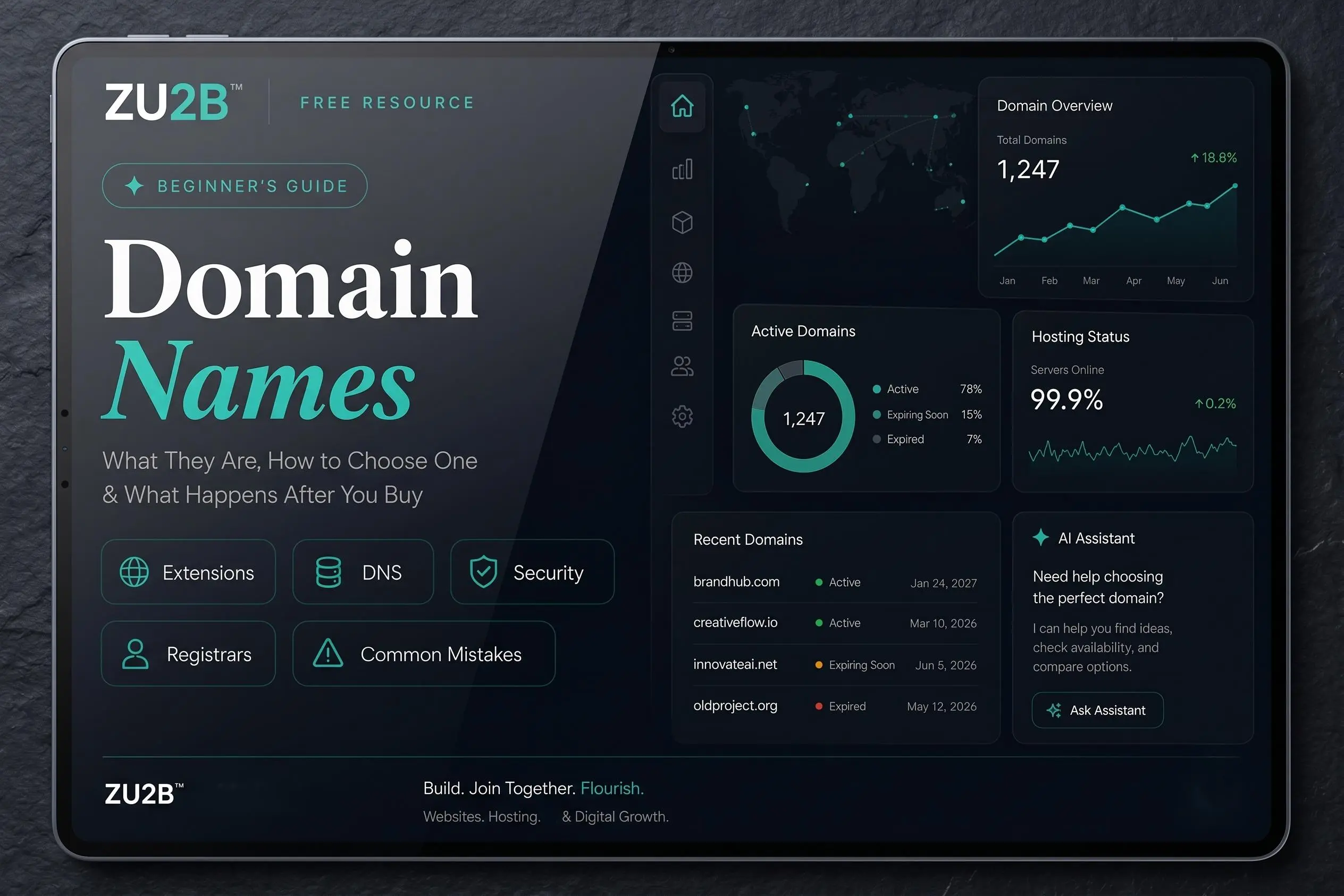 Domain Names — Beginner's Guide by ZU2B preview